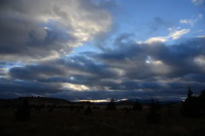 DSC_2953 (Large).JPG